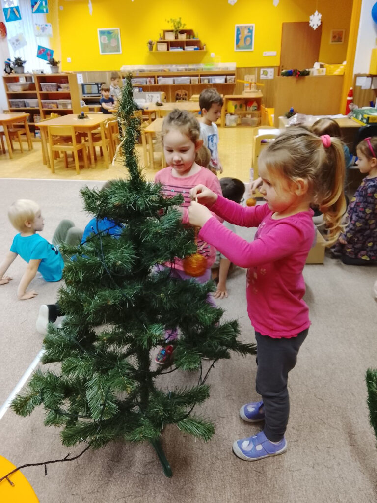 Aktuální obrázek nemá žádný alternativní popis. Název souboru je: 7.jpeg