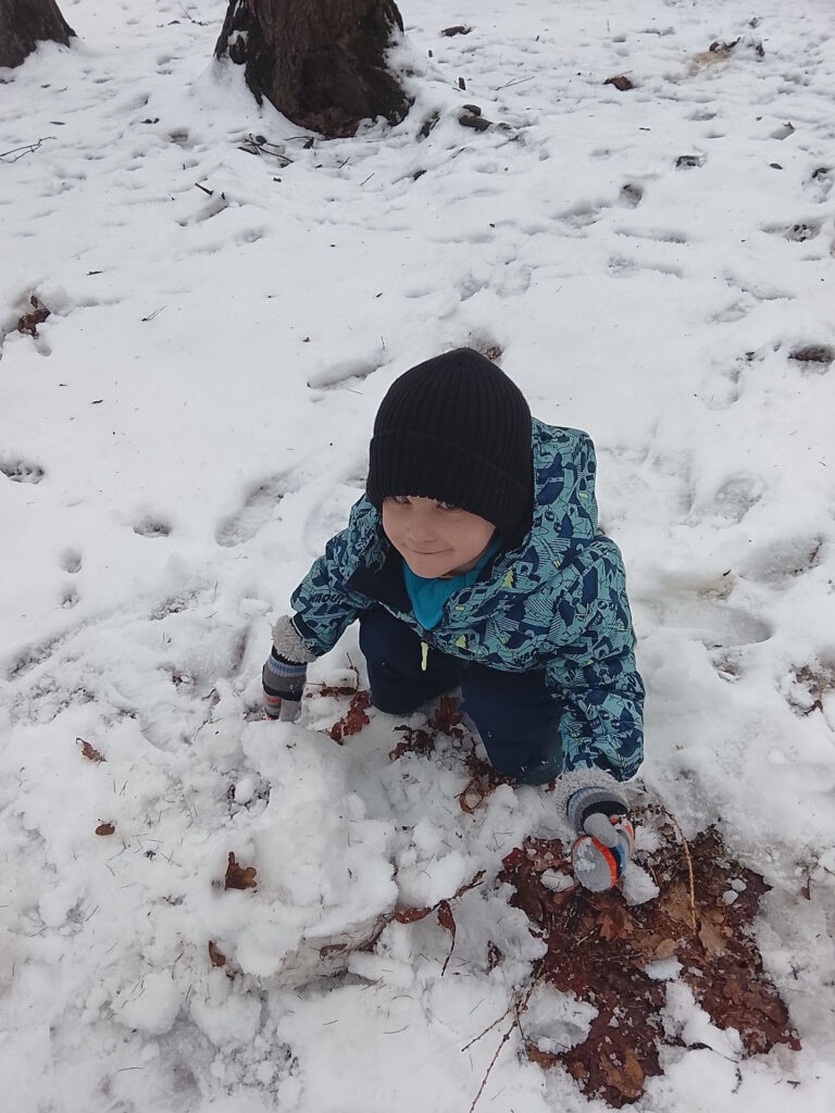 Aktuální obrázek nemá žádný alternativní popis. Název souboru je: 5.jpg