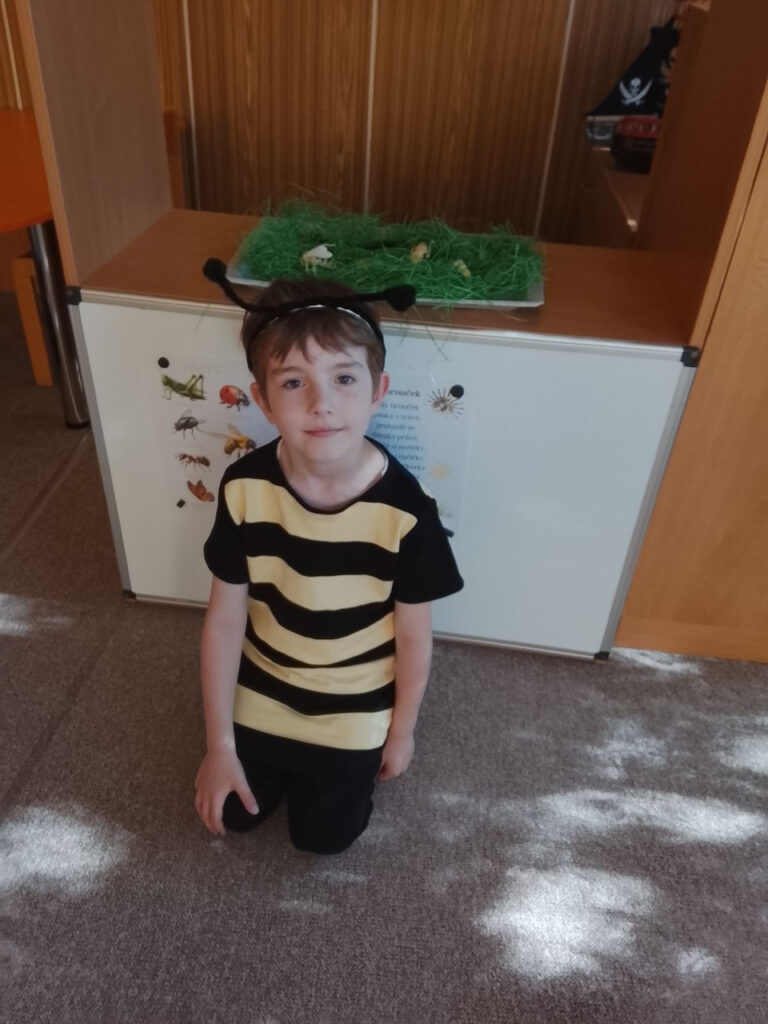 Aktuální obrázek nemá žádný alternativní popis. Název souboru je: 3.jpg