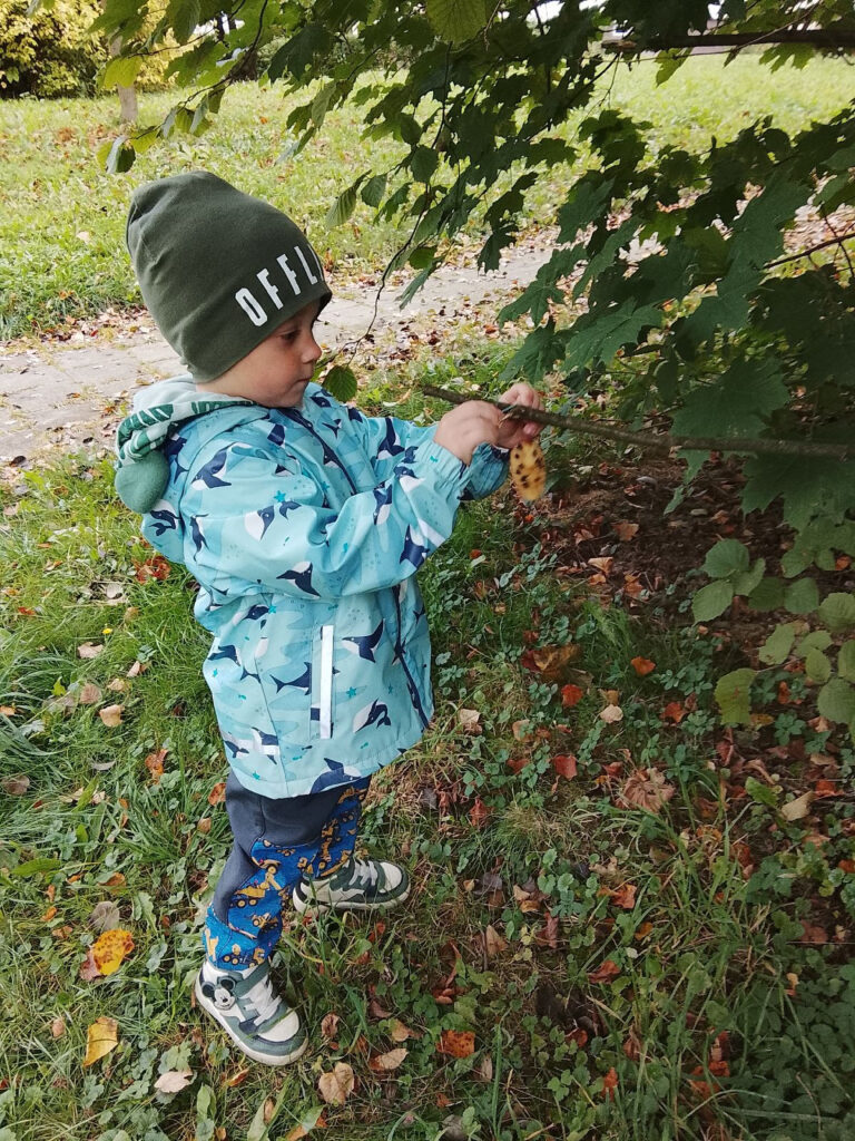 Aktuální obrázek nemá žádný alternativní popis. Název souboru je: 5.jpg